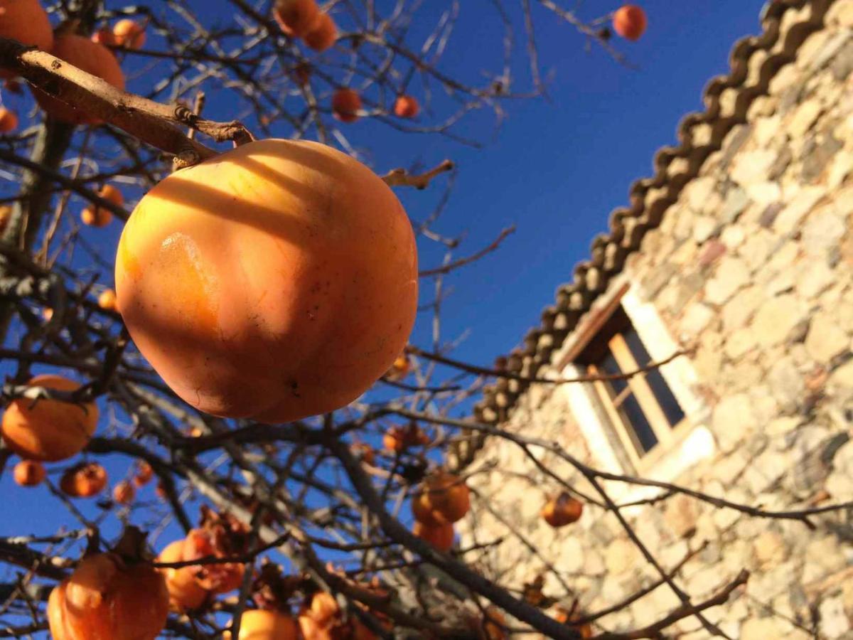 Masia De Vallforners Tagamanent Exteriér fotografie