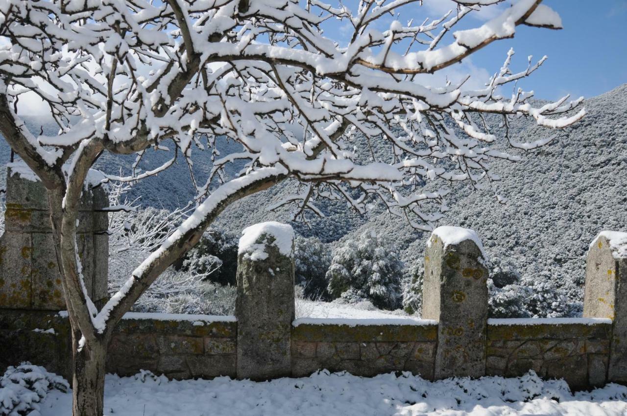 Masia De Vallforners Tagamanent Exteriér fotografie