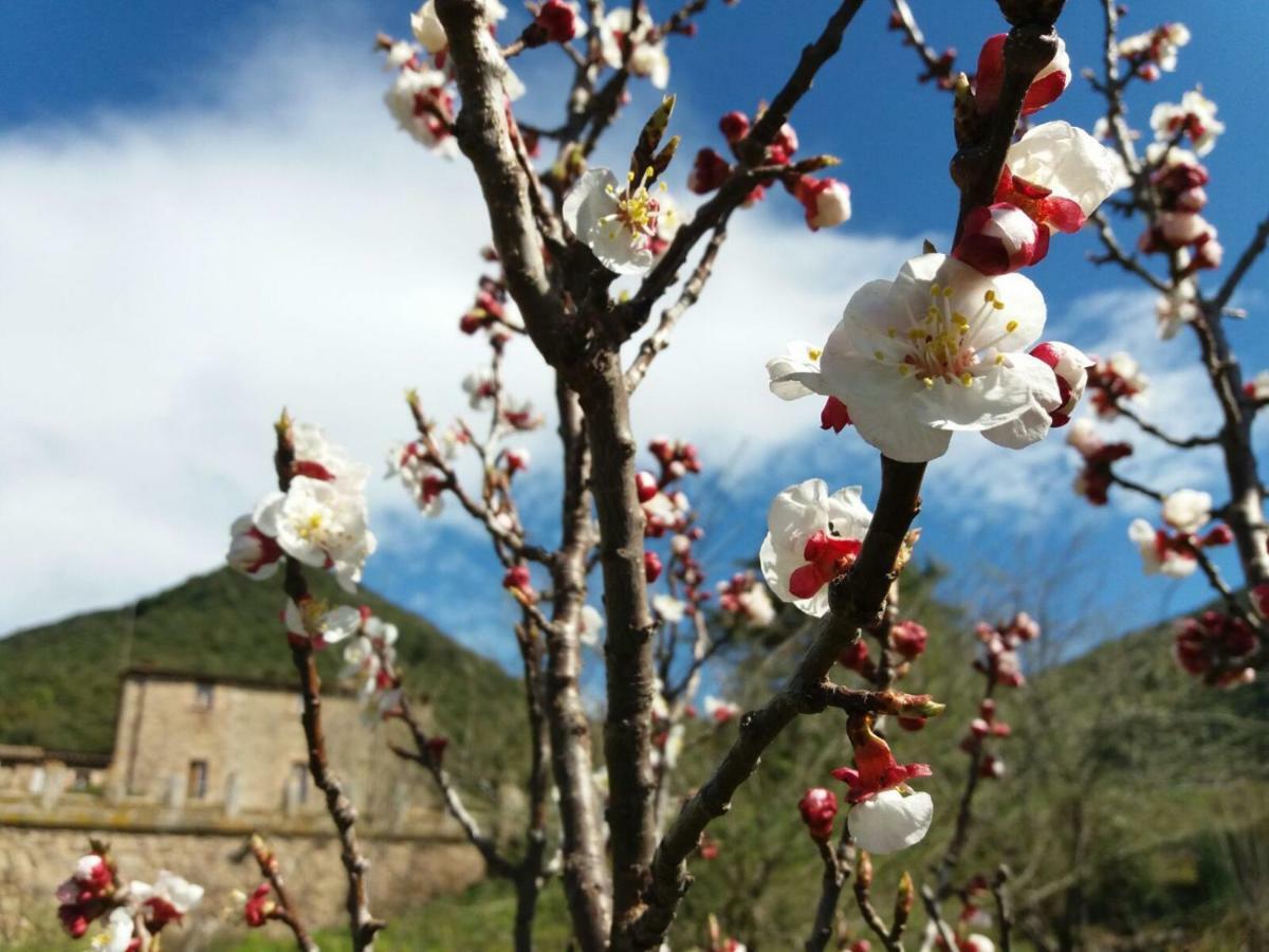 Masia De Vallforners Tagamanent Exteriér fotografie